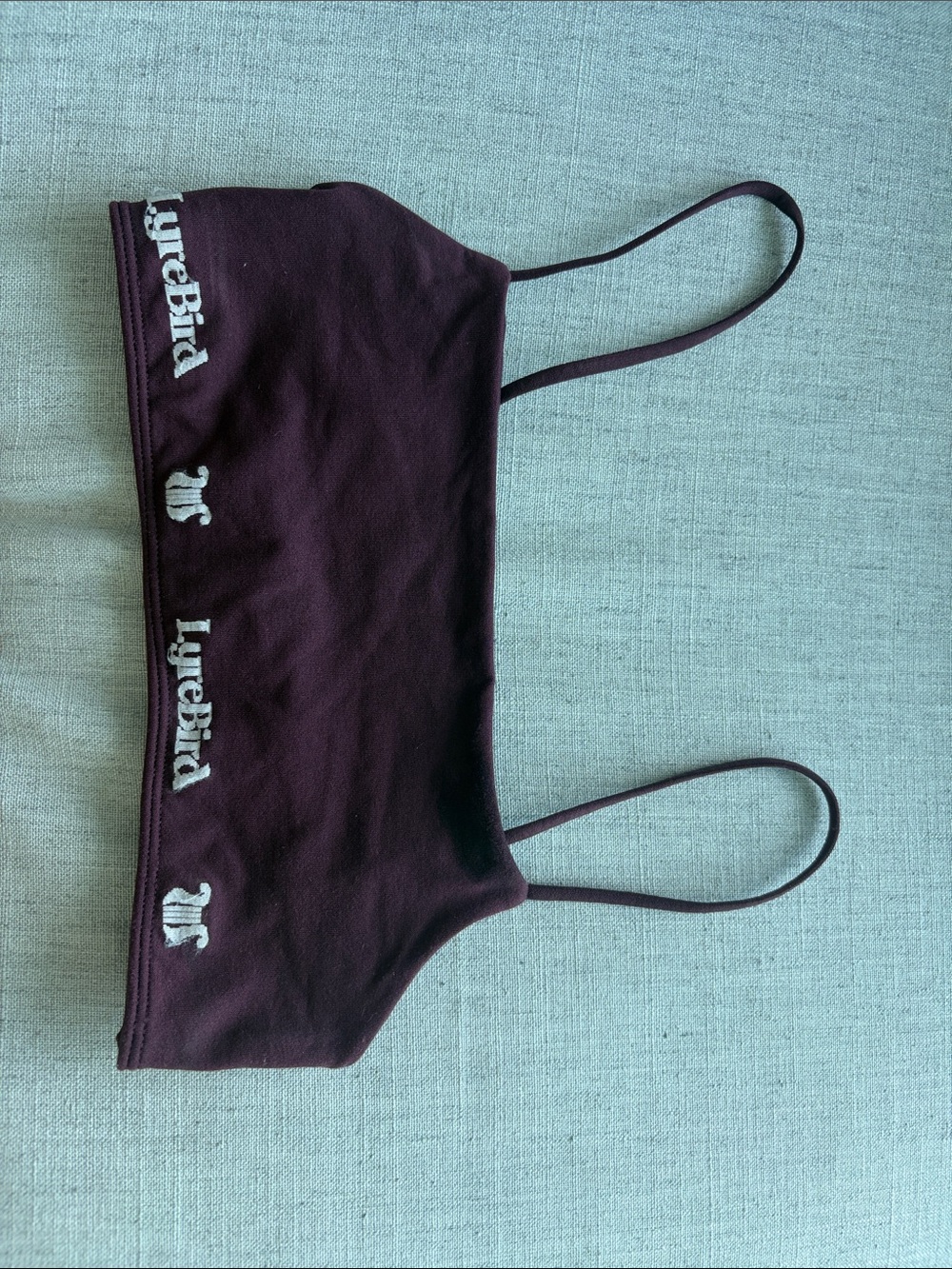 Anthropologie Plum Scoop Bralette